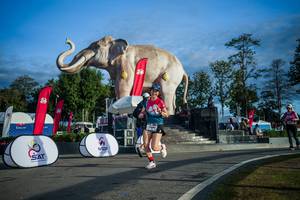 BIB: 
                            <button type="button" onclick="openModal(26541668)" class="btn btn-primary btn-sm float-right btn-popup" data-toggle="modal" data-target=".modal-high-quality">
                        <i class="fas fa-shopping-cart"></i> Add to Cart
                    </button>
                                            <button type="button" onclick="isThisMe(26541668, true)" class="btn btn-success btn-sm float-right btn-popup btn-isme hidden" data-toggle="tooltip" data-placement="bottom" title="นี่คือรูปของคุณใช่ไหม คลิกที่นี่เพื่อเอาเข้าอัลบั้ม">
                        <i class="fas fa-plus"></i> Add to album
                    </button>
                    <button type="button" onclick="isThisMe(26541668, false)" class="btn btn-warning btn-sm float-right btn-popup btn-isnotme hidden">
                        <i class="fas fa-ban"></i> Remove from album
                    </button>